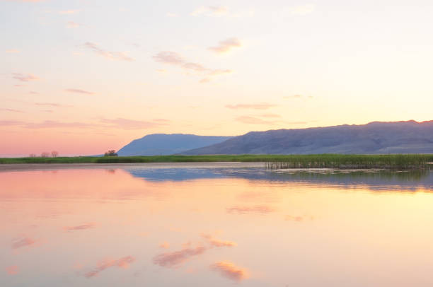 istock steppe summer. Turgai save. Lake in the desert 835025218