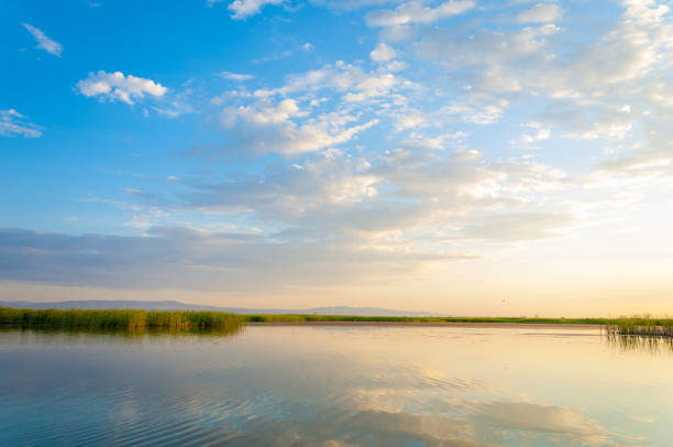 istock steppe summer. Turgai save. Lake in the desert 835025462