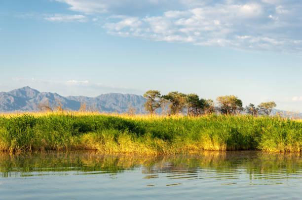 istock steppe summer. Turgai save. Lake in the desert 835027118