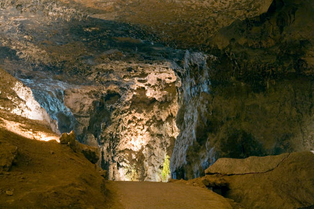 istock Rio Camuy Cave Park 835027130