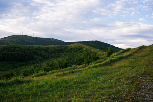 wind turbines on the hillside with forest in summer