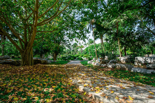 istock Autumn, My Son Sanctuary, Public Park, Shadow, Tropical Climate 835041872