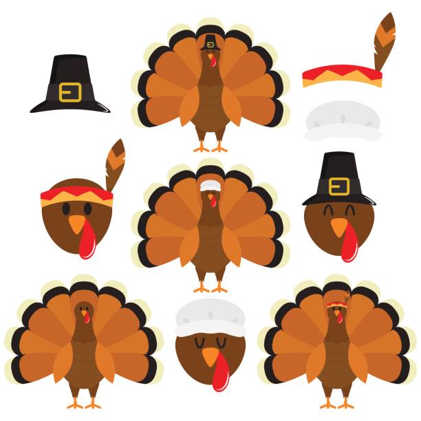 illustrazioni stock, clip art, cartoni animati e icone di tendenza di tacchini del ringraziamento in sfondo bianco - turkey thanksgiving farm meal