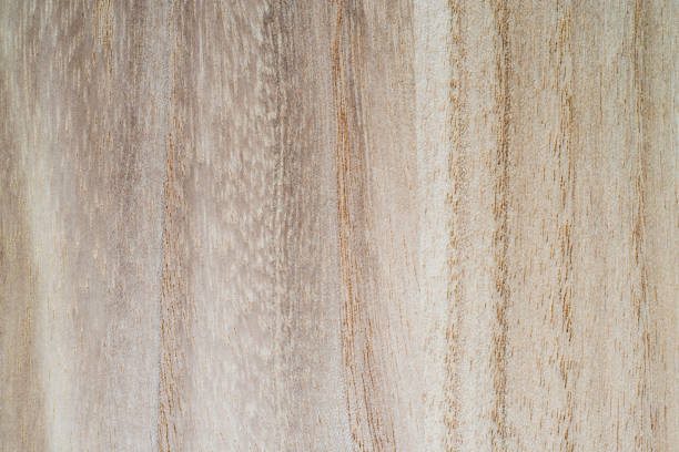 istock Wood texture , Wood wall , Plank 835061902