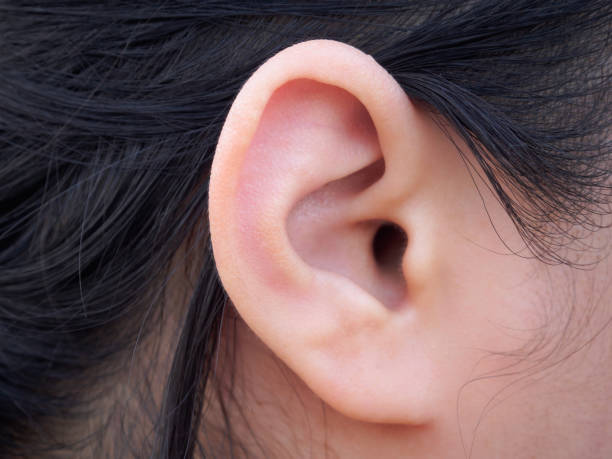 Female human ear closeup Female human ear closeup Earlobe stock pictures, royalty-free photos & images