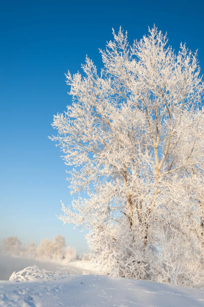 istock winter, winter-tide, winter-time 835063782