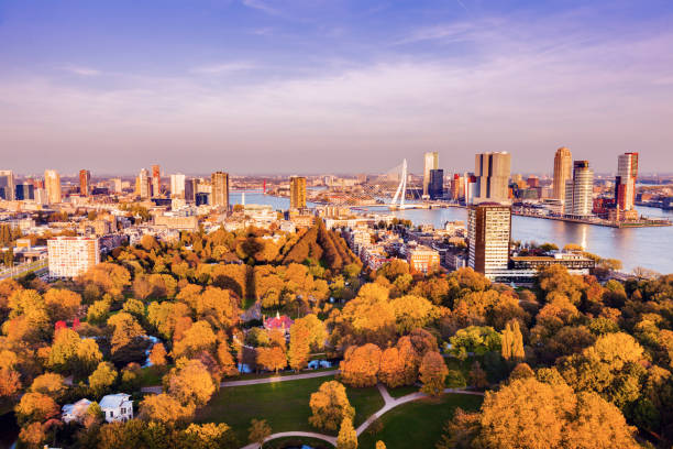 istock Aerial panorama of Rotterdam 835066958