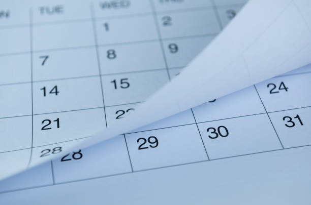 istock Closeup of numbers on calendar page 835070714