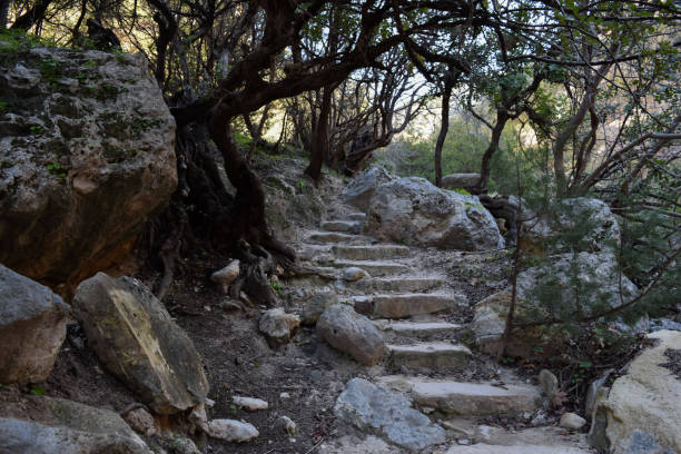 istock Avakas Gorge. Nature trail. Cyprus island 835077428