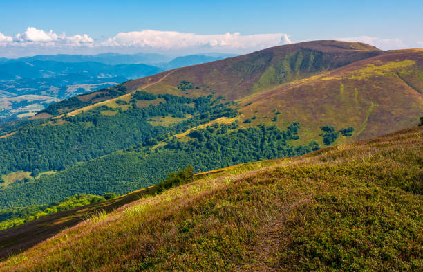 camino al borde de la cordillera - alp descent fotografías e imágenes de stock