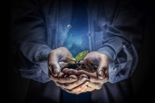 istock Birth of new life. Mixed media . Mixed media 835091472