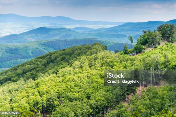 Mountain Matra Stock Photo - Download Image Now - Hungary, Autumn, Backgrounds