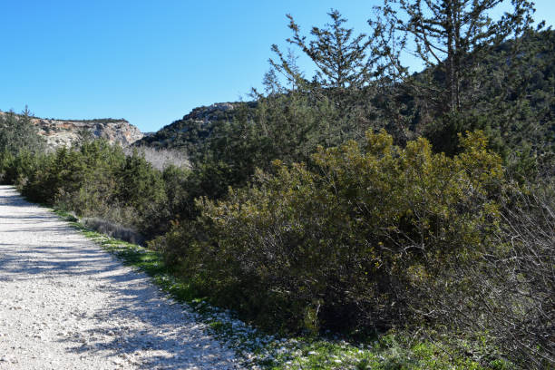 istock Avakas Gorge. Nature trail. Cyprus island 835097712