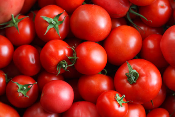 istock Red natural countryside tomato composition. 835098134