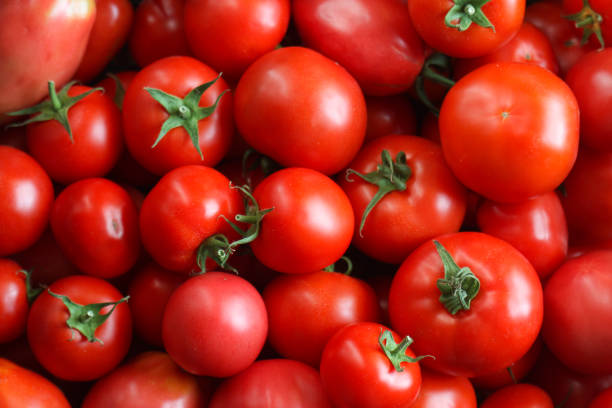 istock Red natural countryside tomato composition. 835098208