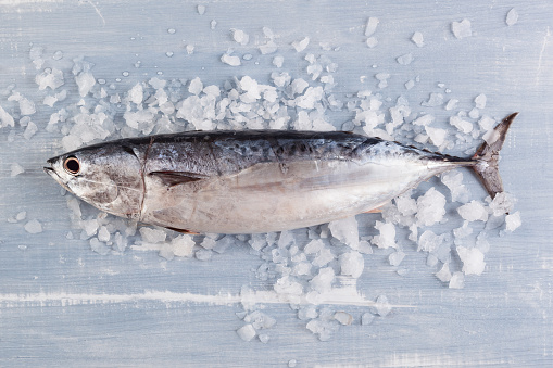 Fresh tuna fish on ice on blue wooden table from above. Culinary seafood eating.