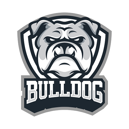 Bulldog animal head mascot sport vector illustration