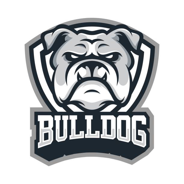 Bulldog animal head mascot sport vector illustration Bulldog  animal head mascot sport vector illustration bulldog stock illustrations