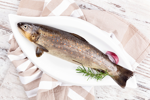 Fresh rainbow trout fish on white plate, from above. Culinary seafood eating.