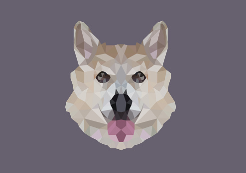 Dog head low poly graphic with white background