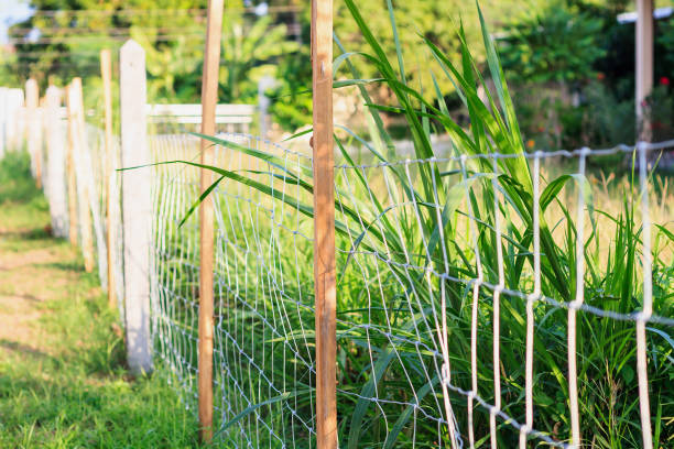 istock Metal fence wire 835128966