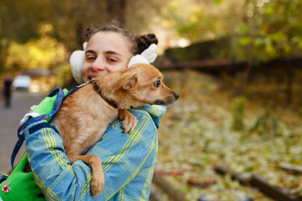 istock Girl and dog 835136352