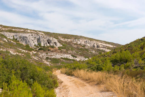 istock Summer mountain hills landscape 835145318