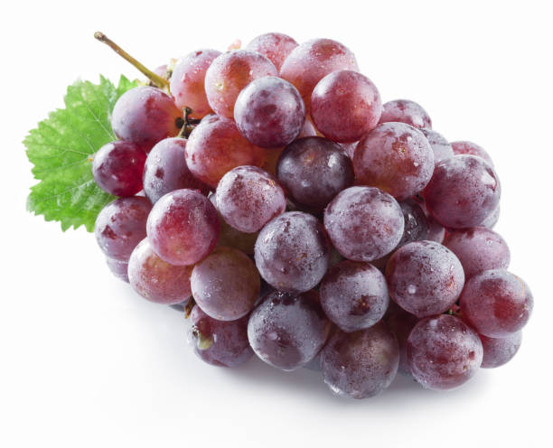 istock Bunch of purple grapes on the white background. 835145596