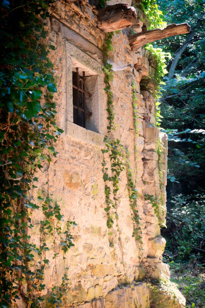 istock Overgrown wall of abandoned building. 835146022