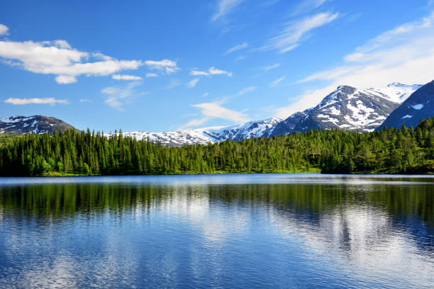 istock Litle Luktvatnet lake, Norway 835156808