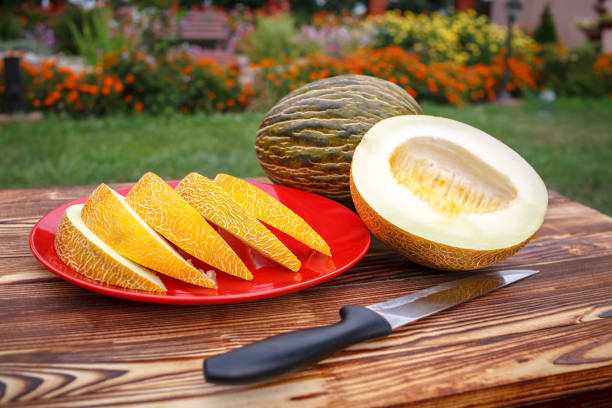 On a wooden table is a plate with sliced yellow melon, whole and cut in half melon and a knife in stainless steel and a black handle.