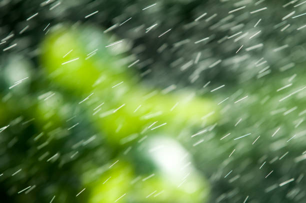 The blur of focus. Summer rain. moisture condensed from the atmosphere that falls visibly in separate drops.  Euharis Laves Eun Tae wounds