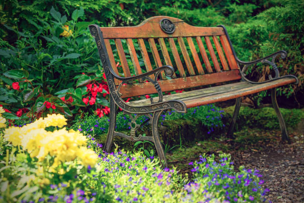 istock Old bench in the garden 835189054