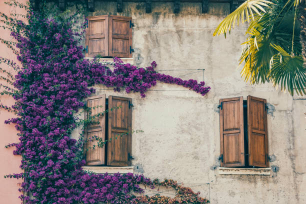 istock Beautiful window covered with flowers in Italy 835190332