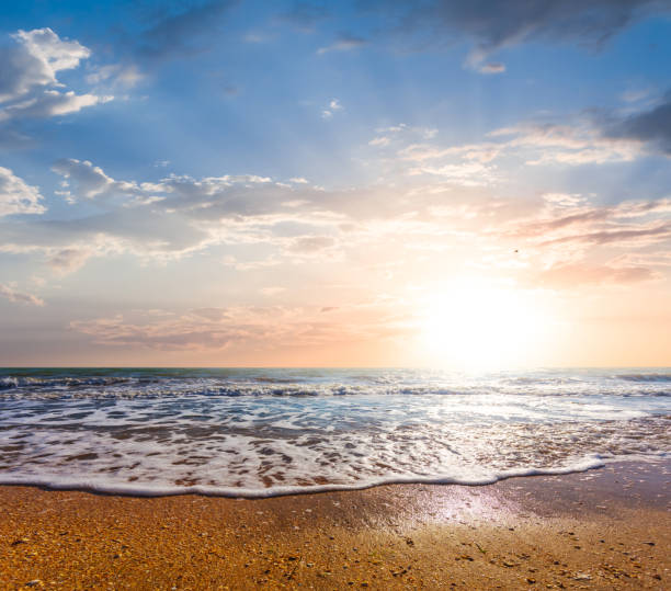 istock sandy sea beach scene at the sunset 835194816