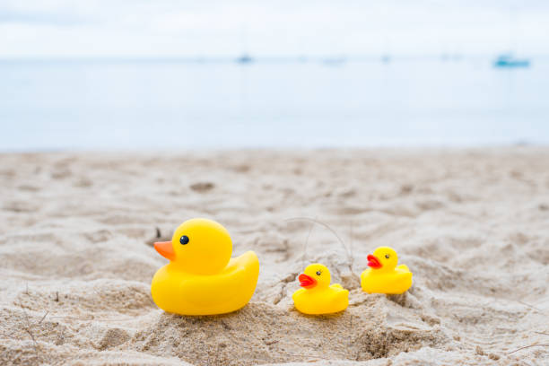 istock Family holiday concept with rubber ducks walking 835196634
