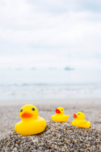 istock Family holiday concept with rubber ducks walking 835196650