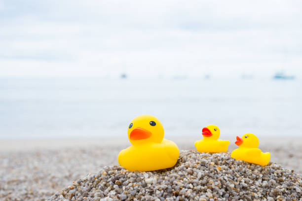istock Family holiday concept with rubber ducks walking 835196684