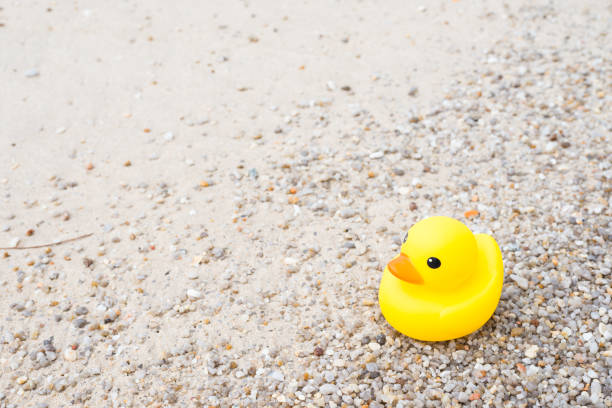 istock Family holiday concept with rubber ducks walking 835196722