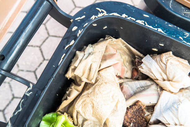 niezliczone pełzające robaki w yjaku organicznym i wokół niego - garbage food compost unpleasant smell zdjęcia i obrazy z banku zdjęć