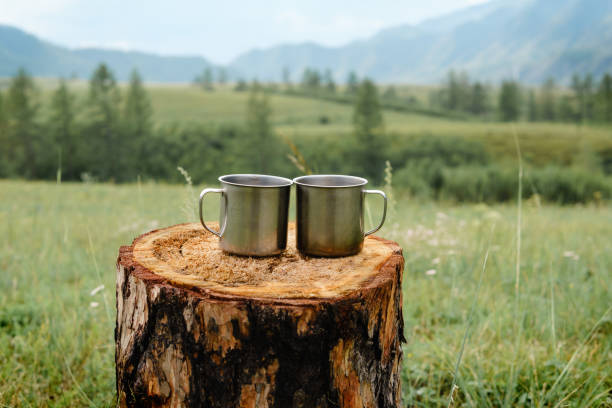 istock Two metal mugs on a wooden stump. 835232844
