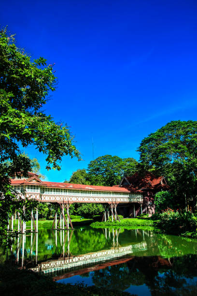 istock wood bridge on the lake 835246108