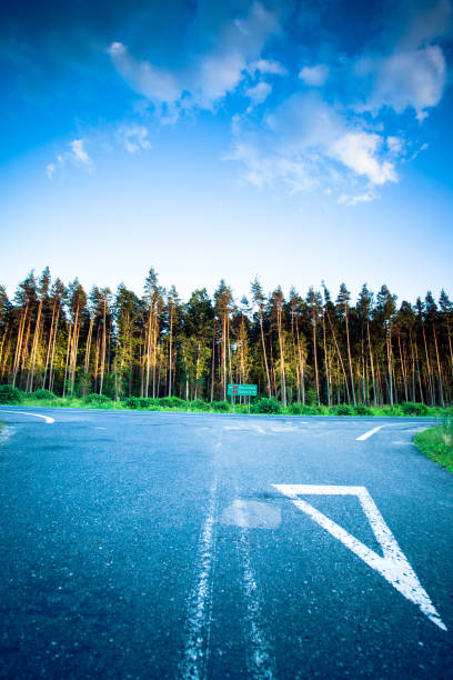 istock Landscape in Poland asphalt road and forest 835255666