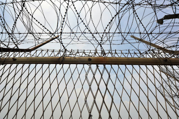 istock Military barbed wire entanglement 835256334