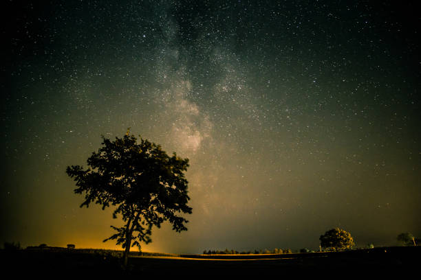 istock The Milky Way above a lone tree 835271540