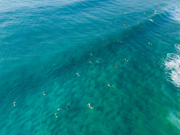 istock Group of Surfers 835276402