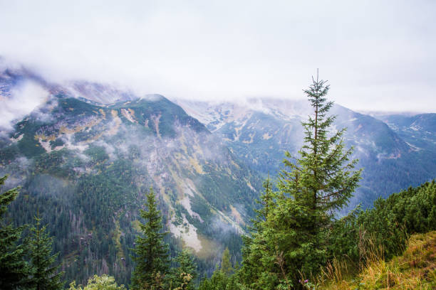 istock A beautiful mountain landscape in Tatry, Slovakia 835285880