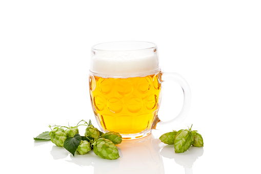 Glass of beer with hop fruit isolated on white background.