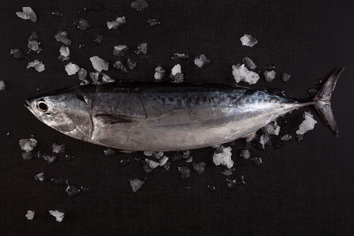 Fresh tuna fish on black background with ice, top view.