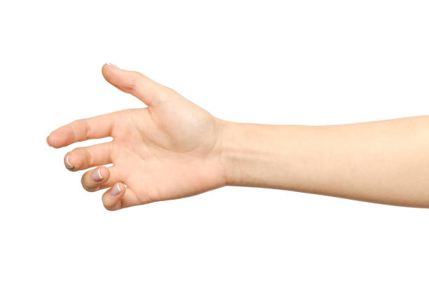 istock Woman's hand ready for handshaking isolated on white 835288160